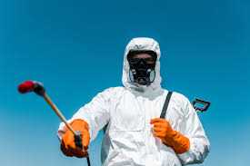 Best Emergency Pest Control  in Pirtleville, AZ